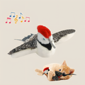 Uccello volante per gatti