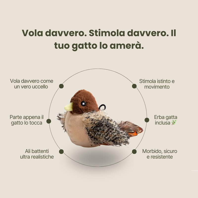 Uccello volante per gatti
